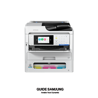 Epson WorkForce Pro EM-C800